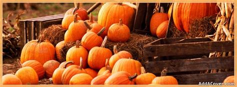 Pumpkins Facebook Cover | AUTUMN-FALL FACEBOOK COVERS AND PICTURES | Pinterest | Pumpkins ...