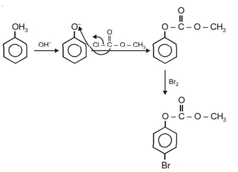 Chloroformate Reactions