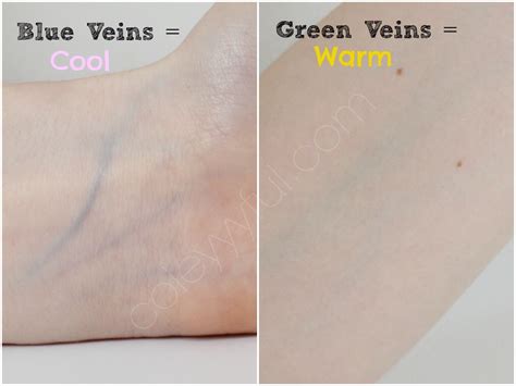 Kindred of the Quiet Way: Photographing veins