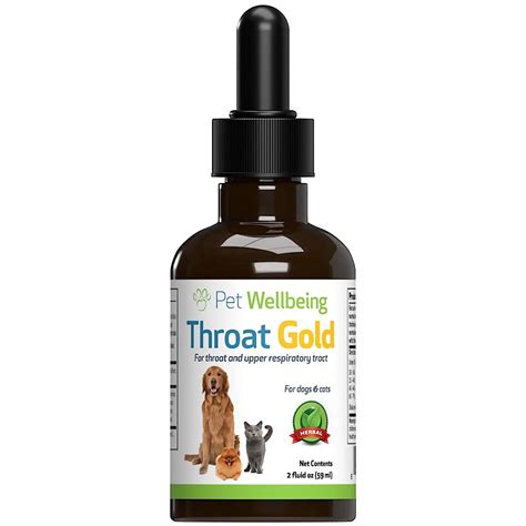 6 Best Cough Relief Products for Dogs