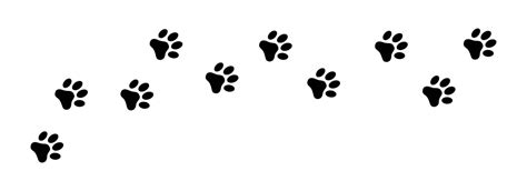 Paw print foot trail. Dog, cat paw print. Vector 4241097 Vector Art at Vecteezy