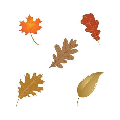 Oak Leaf Logo 14295689 Vector Art at Vecteezy