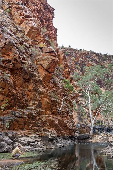 Serpentine Gorge | Larapinta Trail, Alice Springs, Australia… | Flickr