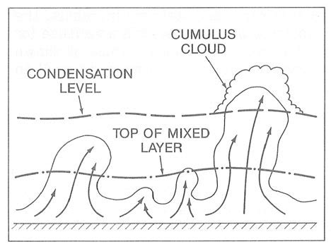 4 Schematic showing formation of cumulus cloud by thermals rising out... | Download Scientific ...