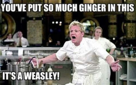 14 best Hell's kitchen memes images on Pinterest | Ha ha, Funny pics ...