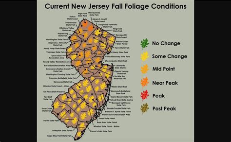 Best fall foliage in N.J.? Check these maps to find the most colorful leaves this weekend. - nj.com