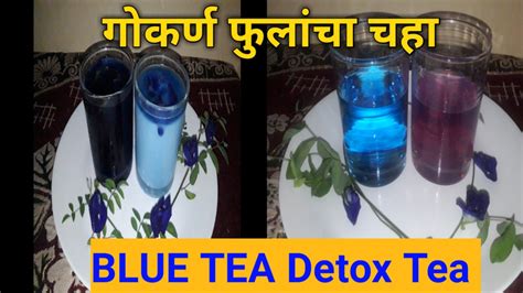 Blue Tea (Blue flower Butterfly Pea Flower Tea) | Butterfly pea flower ...