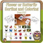 Flower or Butterfly Sorting and Coloring Free PDF • Wise Owl Factory