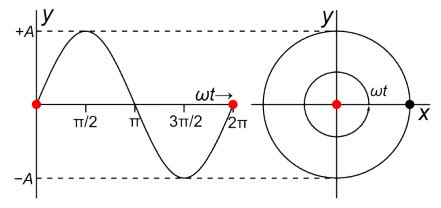 Simple Harmonic Motion Graphs - LandoncelBaxter