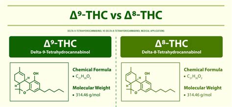 DELTA 8 THC Vs Delta 9P: What You Need To Know Before Buying? - CBD Oil For Arthritis