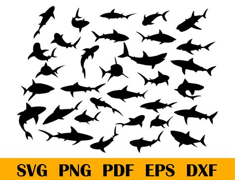 Shark Silhouette, Silhouette Images, Silhouette Studio, Digital Svg, Digital Stamps, Digital ...