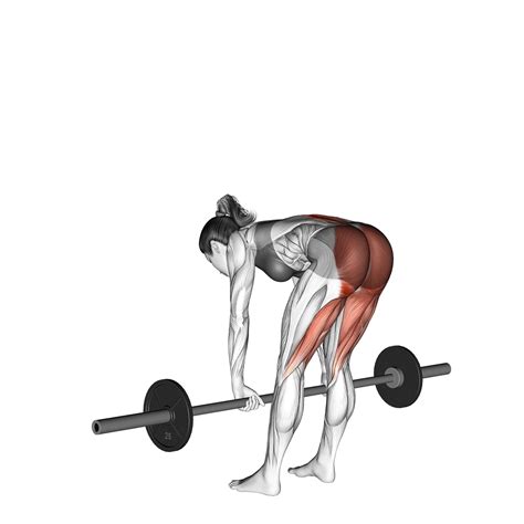 4 Best Sumo Deadlift Alternatives (with Pictures!) - Inspire US