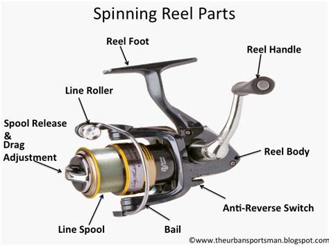 Drop A Line Outdoors, LLC: Understanding the Different Types of Fishing ...