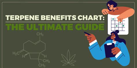 Terpene Benefits Chart the Ultimate Guide | Medical Terpenes