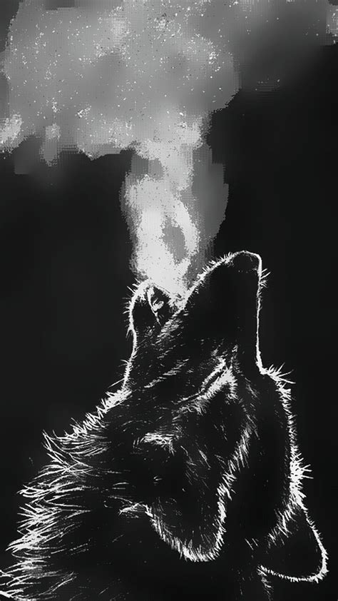 Lone Wolf, nature, HD phone wallpaper | Peakpx