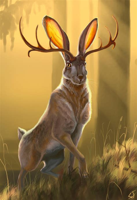 Jackalope, The Rabbit With Horns/Antlers - Are Jackalopes Real? - Mythologian