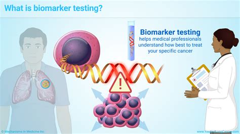 Slide Show - Understanding Biomarker Testing in Non-Small Cell Lung Cancer