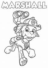 Paw Patrol Coloring Pages 120 Pictures Free Printable sketch template