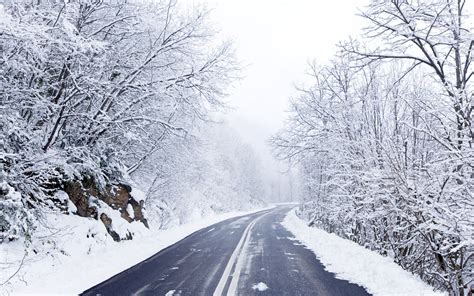 Winter Road wallpaper | 2560x1600 | #8800