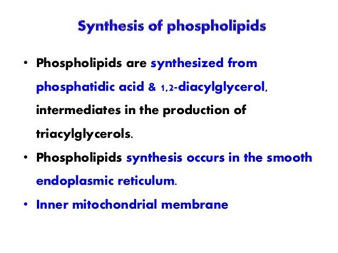 SYNTHESIS OF PHOSPHOLIPIDS