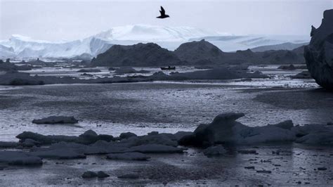 What’s behind Greenland’s black snow? – People's World