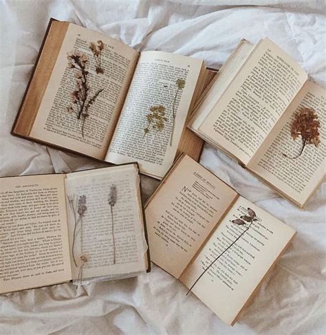 follow me @PEACHESSBABY | Book photography, Vintage books, Books