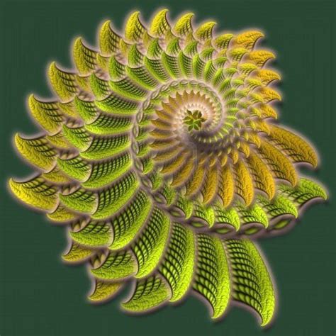 Fractals in Nature | Natural form | Pinterest