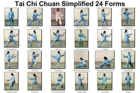 sports@fresh: Tai Chi for Beginners