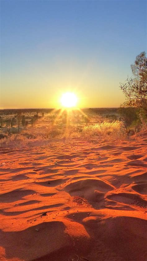 Stay Alive and Know This about Outback Camping in 2018 - Travel on the Brain | Camping locations ...