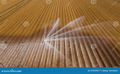 Irrigation System on Agricultural Land. Stock Image - Image of salad ...