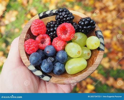 Fresh Berries Fruits for Healthy Meal Stock Image - Image of berry ...