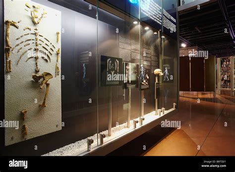 Displays inside Maropeng Visitors Centre, Cradle of Humankind Stock ...