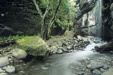 River gorge - Stock Image - E540/0252 - Science Photo Library