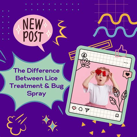 Understanding Lice Treatment vs Bed Bug Spray | Licefreee