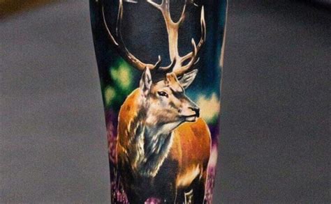 14+ Awesome White-Tailed Deer Tattoo Designs - PetPress