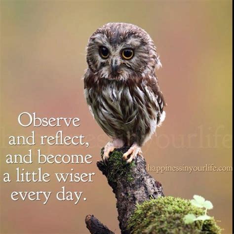 Owl Quotes About Life. QuotesGram