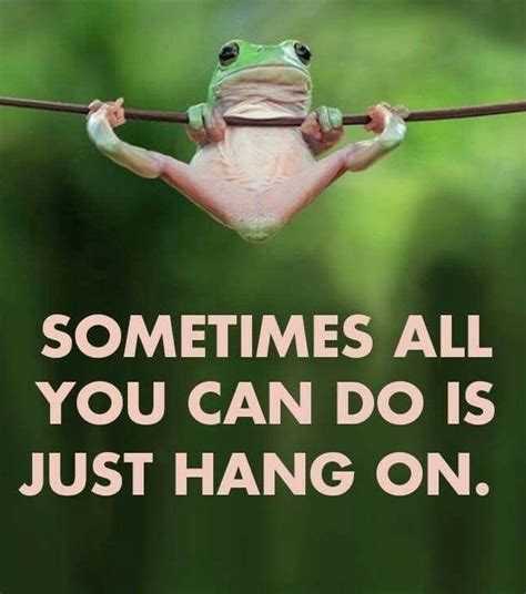 Pin by Dana Anderson on MEME’S | Hang in there quotes, Frog quotes ...