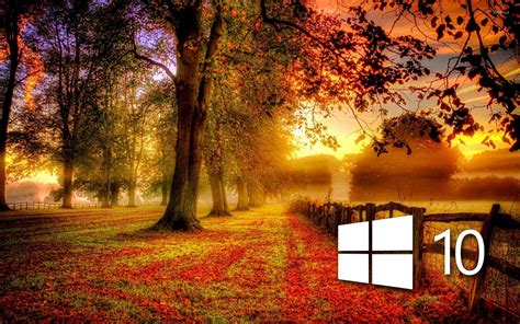 Windows 10 in the fall simple logo wallpaper - Computer wallpapers - #46861