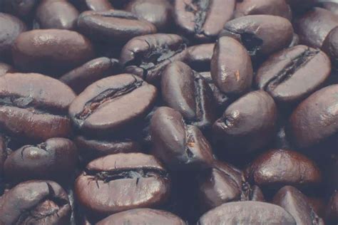 The Best Dark Roast Coffee Beans In 2024