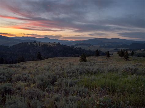 Sunrise in Lamar Valley. : yellowstone