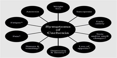 Cachexia (Causes, Signs, and Symptoms) - Assignment Point