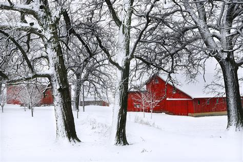 Red Barn In Snow Photograph by Carol Mellema - Fine Art America