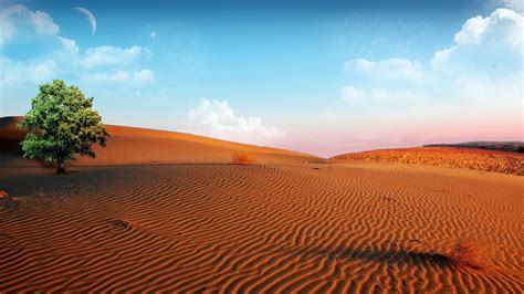 Desert Oasis Landscape Wallpapers - 4k, HD Desert Oasis Landscape Backgrounds on WallpaperBat