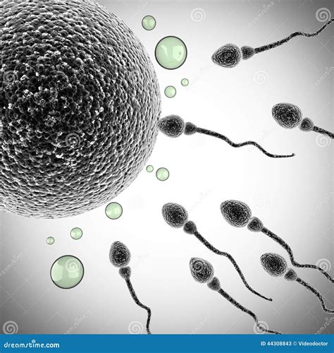 Sperm and Egg Cell. Microscopic Stock Illustration - Illustration of orgasm, genetic: 44308843