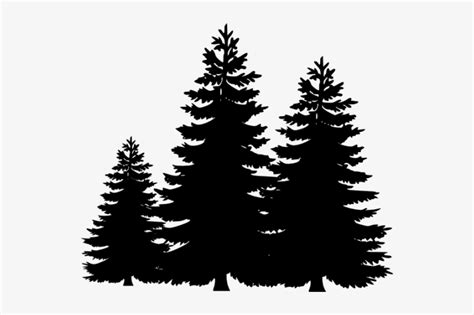 Pine Trees Clipart - Pine Trees Silhouette Png - 540x465 PNG Download - PNGkit