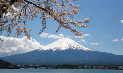 Fuji-Hakone-Izu National Park_Characteristics [MOE]