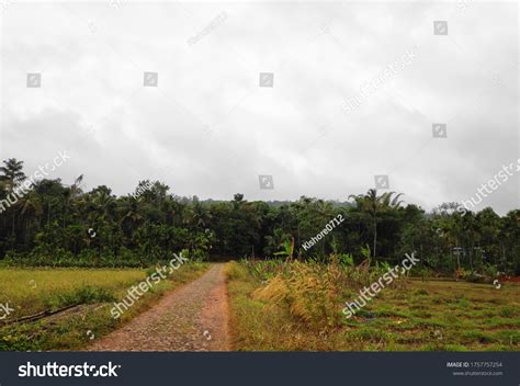 Wayanad Caves Cliffs Forest Roads Stock Photo 1757757254 | Shutterstock