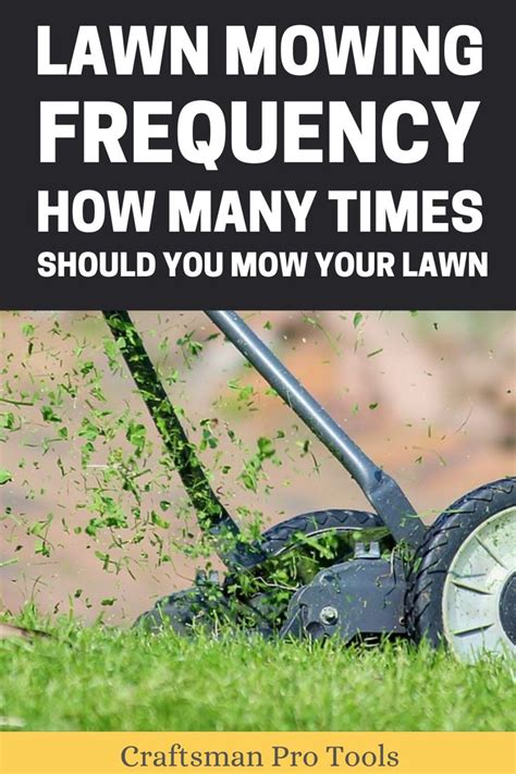Lawn Mowing Frequency - How Many Times Should You Mow Your Lawn? | Lawn ...