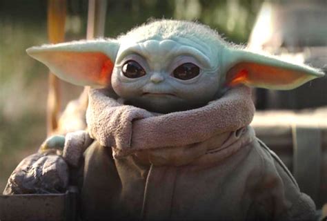 ‘The Mandalorian’ Baby Yoda: What Species Is ‘The Child’? | TVLine