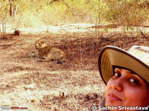 Visit to Gir forest - the only natural habitat for Asiatic Lion! - Team-BHP